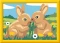 Ravensburger Malen nach Zahlen CreArt Hasenfreunde Vorschaubild