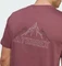 adidas Terrex Graphic T-Shirt kurzarm burgundy (Herren) Vorschaubild