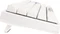 Ducky One 2 Pro Mini, PBT, weiß, LEDs RGB, MX RGB BLUE, USB, DE Vorschaubild