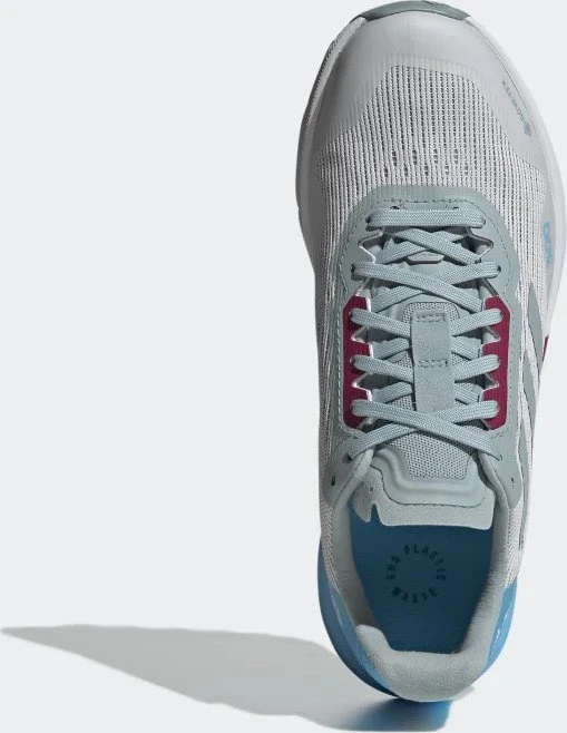 adidas Terrex Agravic Flow 2.0 GTX dash grey/magic grey/sky rush (Damen)