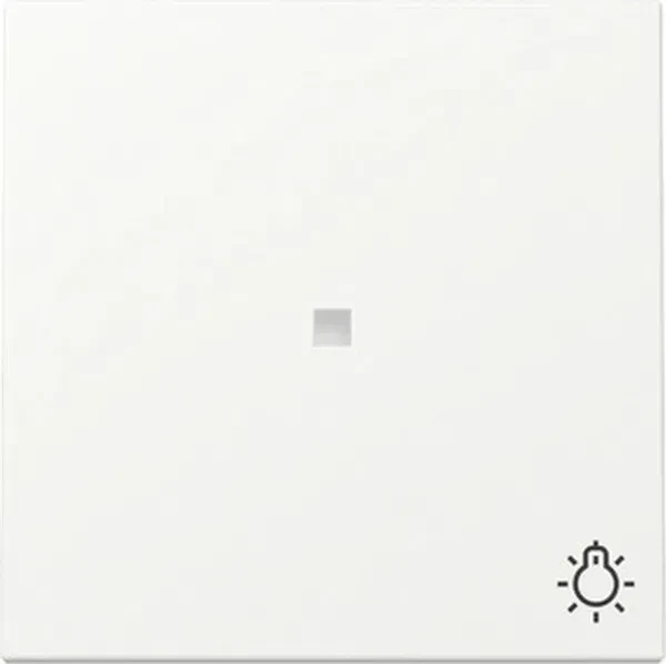 Gira Wippe mit Kontrollfenster und Symbol Licht 3674