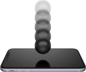 PanzerGlass Edge-to-Edge Case Friendly & Dual Privacy & CamSlider für Apple iPhone 11 schwarz