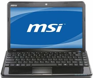 MSI Wind U270-E4523W7H, E-450, 2GB RAM, 320GB HDD, DE