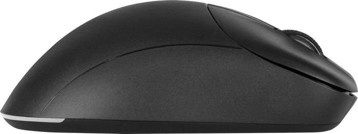 Gamiac PA50 Gaming Maus schwarz, USB