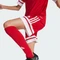 adidas Squadra 25 Trainingshose kurz team power red 2/white (Junior) Vorschaubild