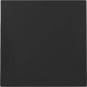 Gira System 55 Wippe, schwarz matt