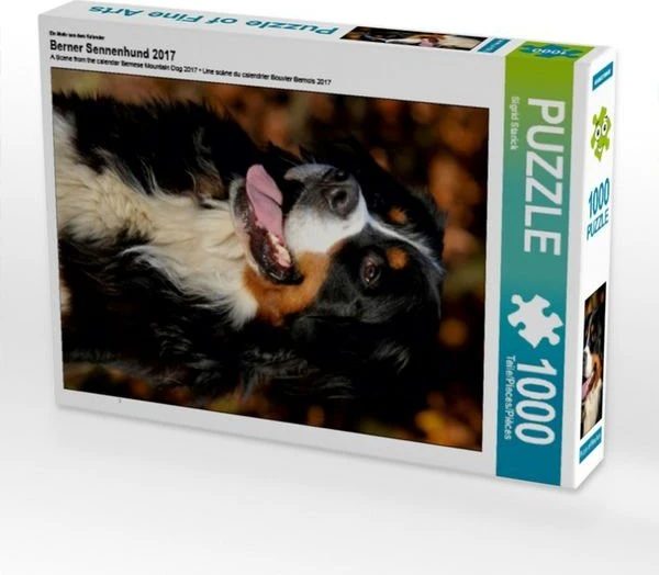 Calvendo Ein Motiv aus dem Kalender Berner Sennenhund 2017