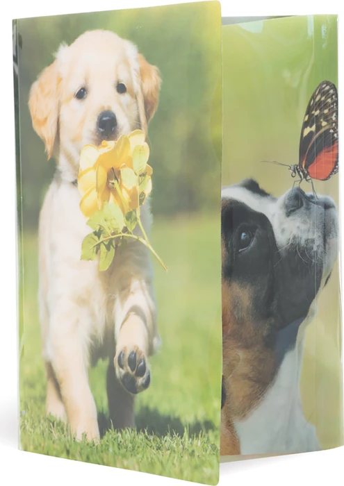 Herma Glossy Tiere Sammelmappe, A4, Hunde, 3er-Pack