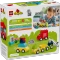LEGO DUPLO - Kreative Fahrzeuge Vorschaubild