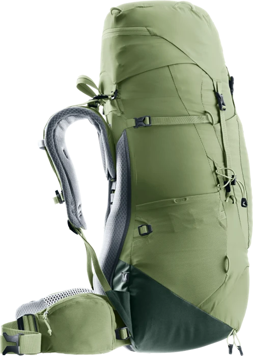 Deuter Aircontact Lite 45+10 SL grove/ivy (Damen)