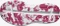 Salomon Aero Glide 2 white/dragon fire/vivacious (Damen) Vorschaubild