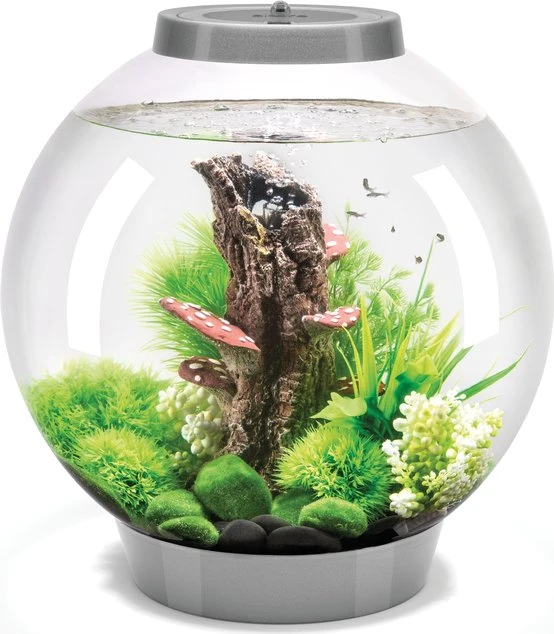 Oase biOrb Classic 30 LED Aquarium silber