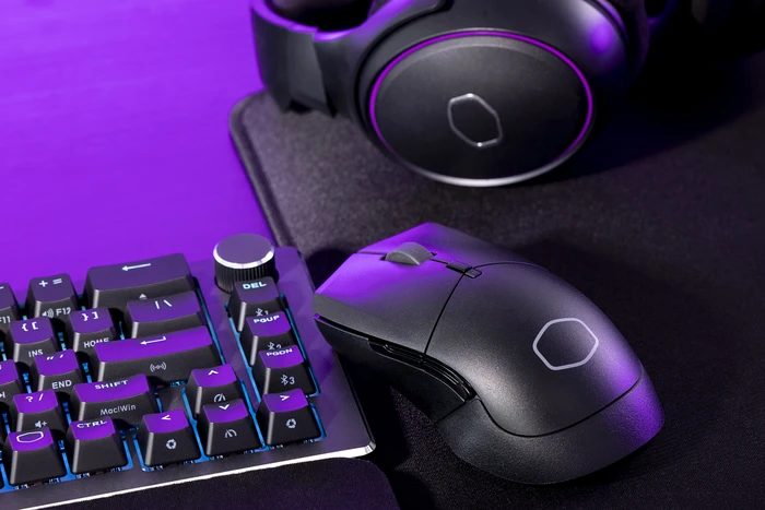 Cooler Master MasterMouse MM311, schwarz, USB