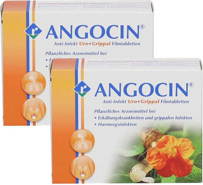 Angocin Anti Infekt N Filmtabletten, 200 Stück