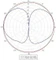Cisco Aironet Dual Band Antenne, 5GHz/2.4GHz, 2-4dBi, RP-TNC, omnidirektional, grau Vorschaubild