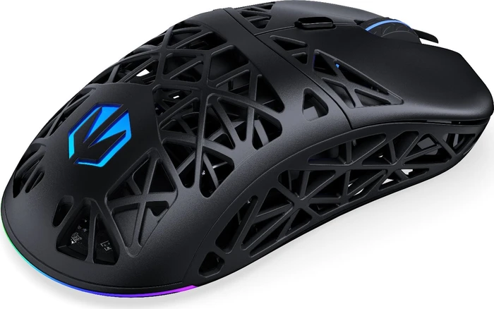 Endorfy LIV Plus Wireless, schwarz, USB/Bluetooth