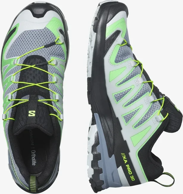Salomon XA Pro 3D V9 GTX flint stone/green gecko/black (Herren)