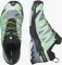 Salomon XA Pro 3D V9 GTX flint stone/green gecko/black (Herren) Vorschaubild