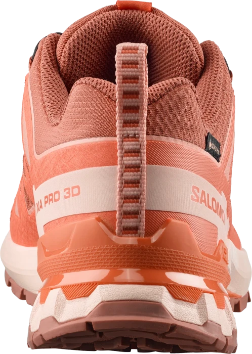 Salomon XA Pro 3D V9 GTX pecan brown/nectarine/almond cream (Damen)