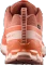 Salomon XA Pro 3D V9 GTX pecan brown/nectarine/almond cream (Damen) Vorschaubild