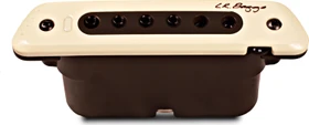 L.R. Baggs M80