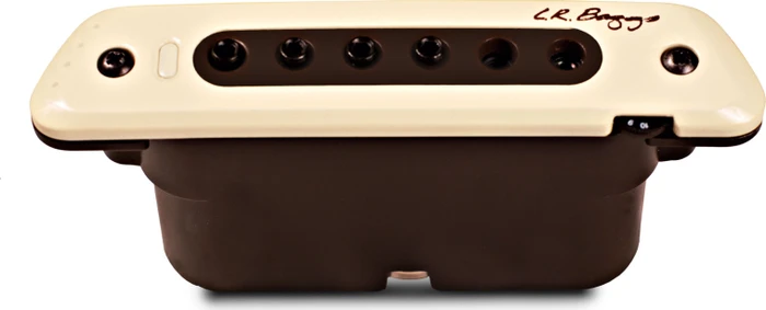 L.R. Baggs M80