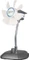 ARCTIC Breeze Color Tischventilator silber Vorschaubild