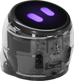 Evollve Ozobot Ari Entry Kit