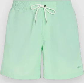 O'Neill Vert 16" Badeshorts mildrew mint (Herren)