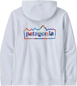 Patagonia Unity Fitz Uprisal Hoodie weiß