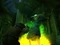 The Book of Unwritten Tales (PC) Vorschaubild
