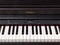 Roland RP701 Rosenholz Vorschaubild