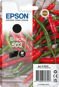 Epson Tinte 503 schwarz