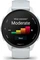 Garmin Forerunner 70 whitestone Vorschaubild