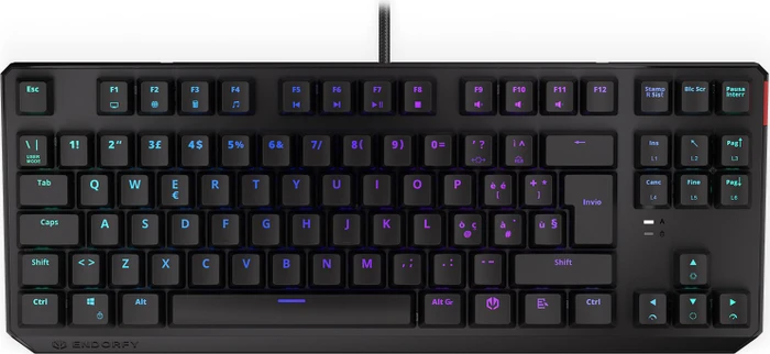 Endorfy Thock TKL, LEDs RGB, Kailh BROWN, USB, IT