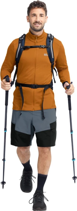 Jack Wolfskin Litestride Funktionsjacke autumn leaves (Herren)