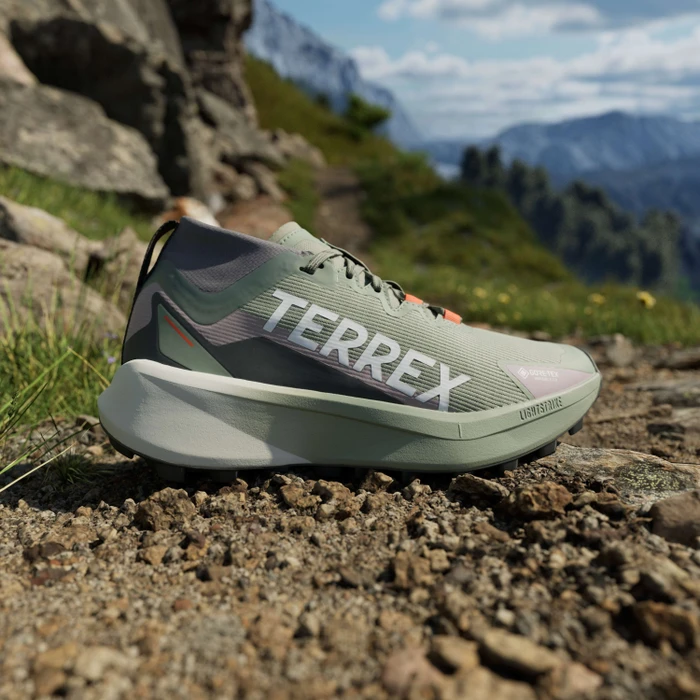 adidas Terrex Agravic GTX Trail silver green/cloud white/preloved fig (Damen)