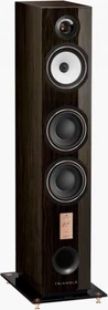 Triangle Esprit Antal 40th santos rosewood, Stück