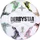 Derbystar DFB-Pokal Brillant APS Herren 2026/2027 Fußball mehrfarbig (102049E)