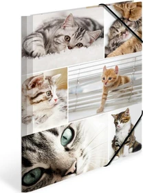 Herma Sammelmappe Karton, A4, Tiermotiv Katzen