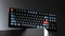 Keychron V3 TKL Knob, 80%, LEDs RGB, hot-swap, Frosted Black, Keychron K Pro RED, USB, DE Vorschaubild