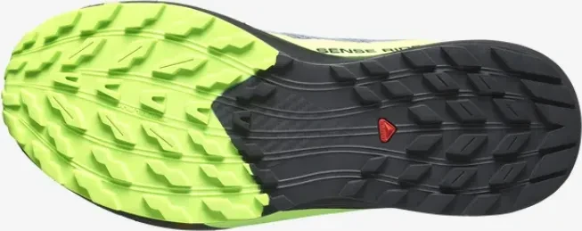 Salomon Sense Ride 5 GTX flint stone/black/green gecko (Herren)