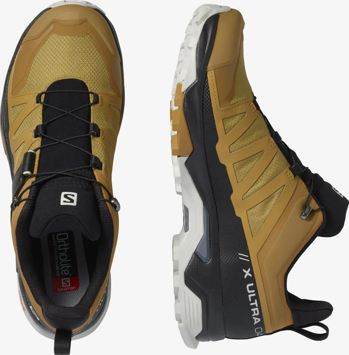 Salomon X Ultra 4 GTX cumin/black/lunar rock (Herren)