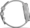 Garmin Approach S40 GPS-Golfuhr grau Vorschaubild