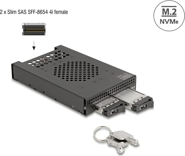 DeLOCK 3.5" Wechselrahmen 2x M.2 NVME SSD