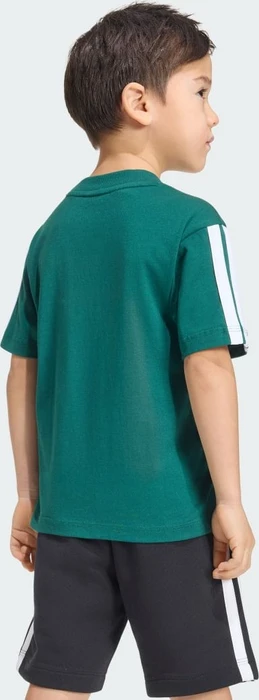 adidas Essentials T-Shirt kurzarm collegiate green/white (Junior)