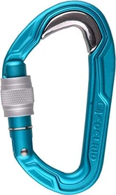 Edelrid Bulletproof VPE5 Schraubkarabiner icemint