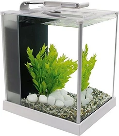 Fluval Spec 3 Aquarium weiß,