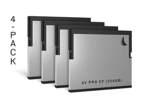 Angelbird AV PRO R550/W490 256GB, 4er-Pack
