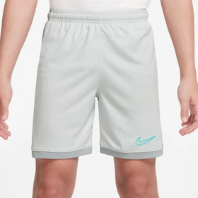 Nike Academy Dri-FIT Hose kurz photon dust/light smoke grey/dynamic turquoise (Junior)